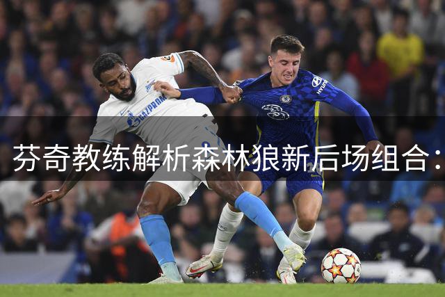 芬奇教练解析森林狼新后场组合：鲍尔天赋与戈贝尔连线成关键