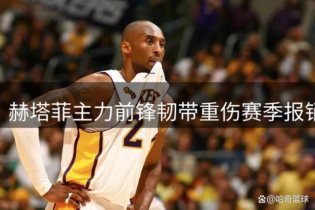赫塔菲主力前锋韧带重伤赛季报销 友谊赛悲剧毁掉救赎之年